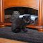DSC_0912.JPG