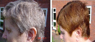natural hair dyes
