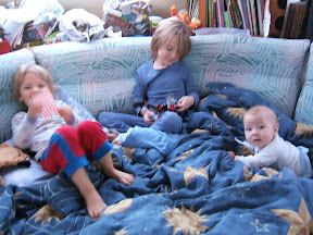 Rowan, Kestrel, and Aurora playing in the morning