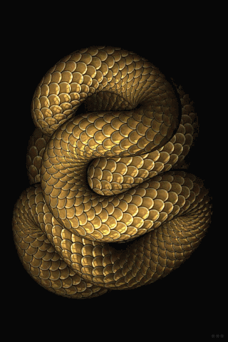 [snake[3].gif]