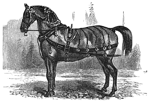 Vintage horse clip art Horse