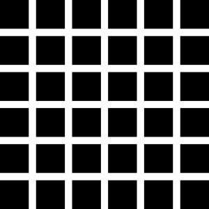 232px-hermann-grid-illusion.svg-tm