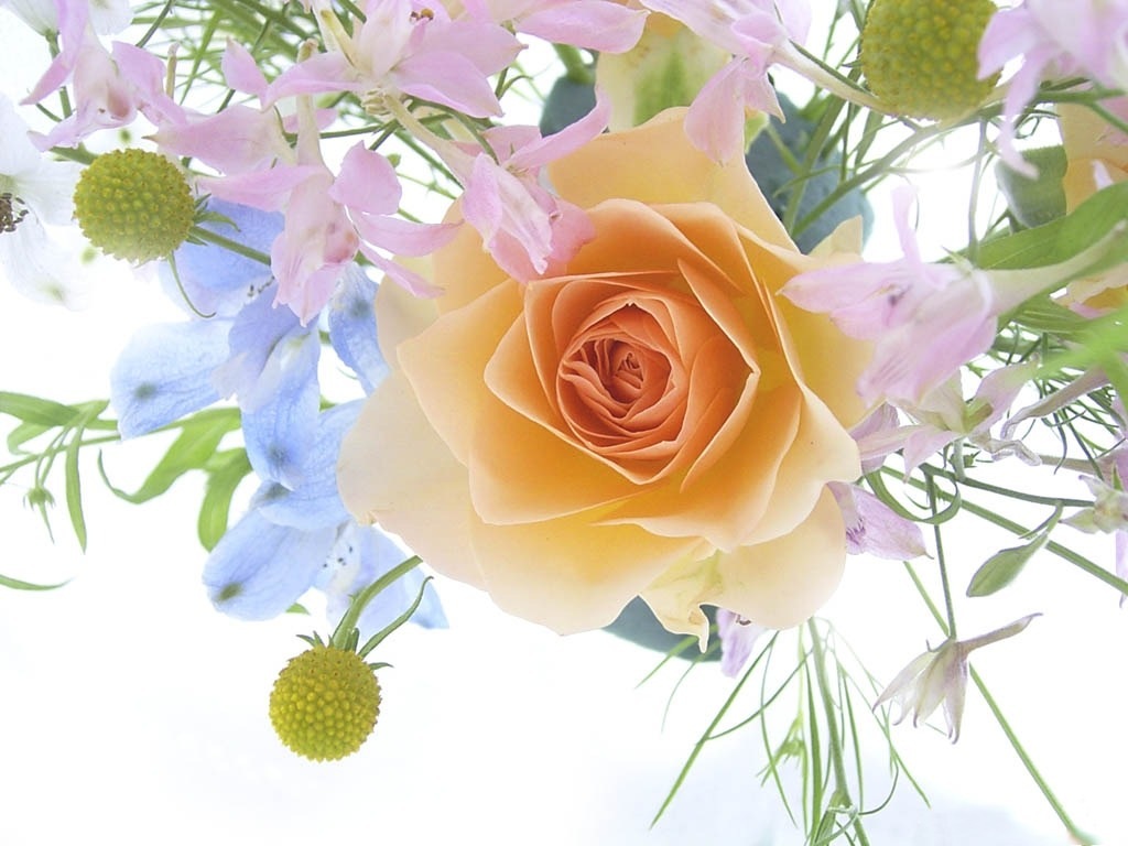 [Flowers_-_a_spring_bouquet_with_a_rose[2].jpg]