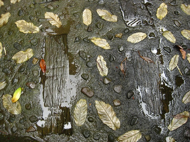 [Leaves[2].jpg]