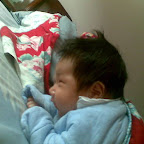 cj_462351.jpg