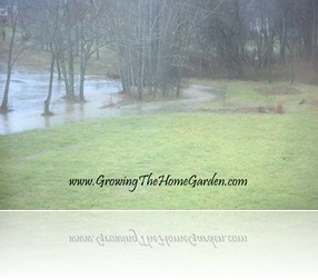 Backyard flooding 1-2010-2 Backyard flooding 1-2010-2