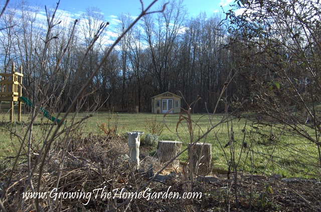 [Shed Greenhouse from Across the Winter Landscape 1-2010-1[5].jpg]