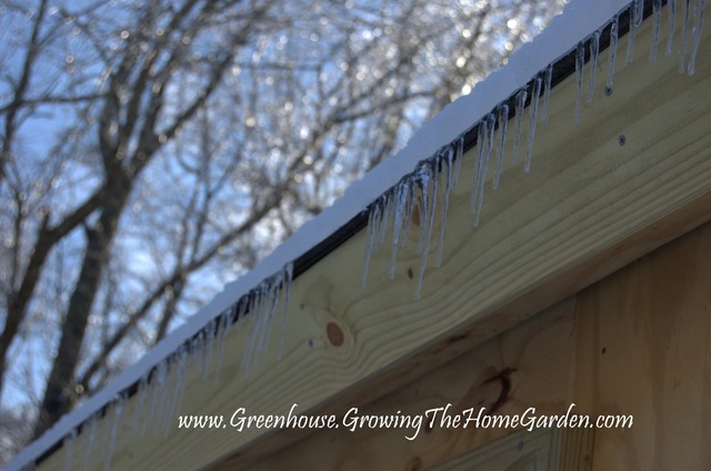 [Icicles on Greenhouse Shed 1-2010-1[4].jpg]