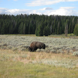 IMG_2433.jpg