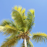  &ndash; 04-Jan-2010