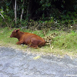 carriacou  Carriacou Pictures