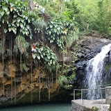 grenada attractions  Annandale Waterfalls Pictures