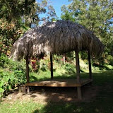 grenada attractions  Grenadas Belmont Estate in Pictures