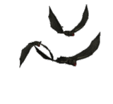 3 Bats.gif