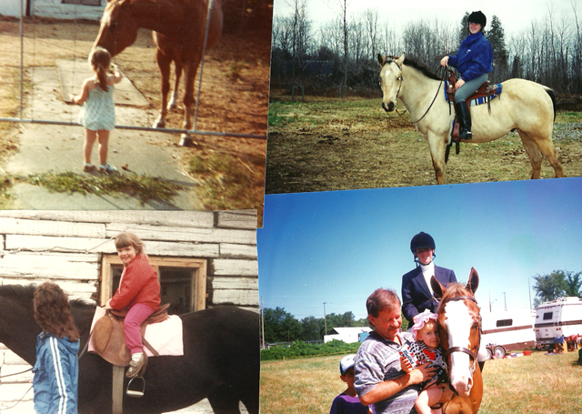 [horses[1].png]