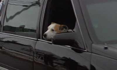 ns-chance-hearse