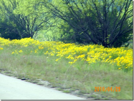 100_0368 100_0368