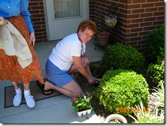 Good neighbor, Pat, is planting begonias for Ms. Trudy