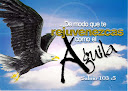 Rejuvenece Como Aguila