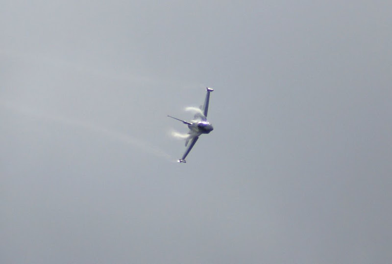 DSC00487.JPG