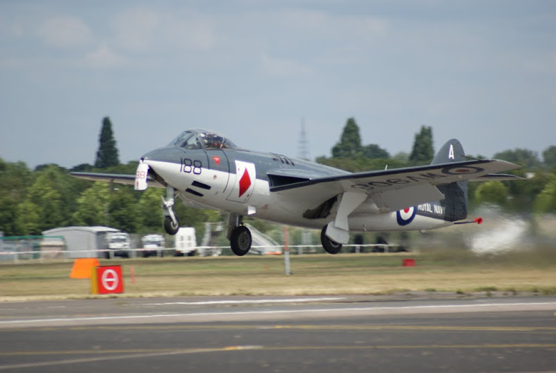 DSC00295.JPG