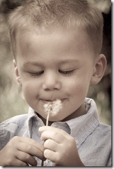IMG_0246-2-5 IMG_0246-2-5