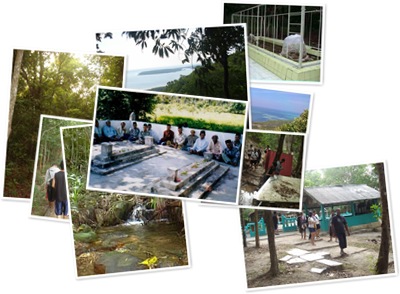 Lihat makam nyamplungan