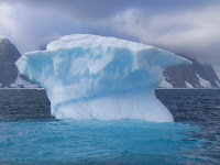 IMG_4426.JPG