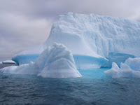 IMG_4464.JPG