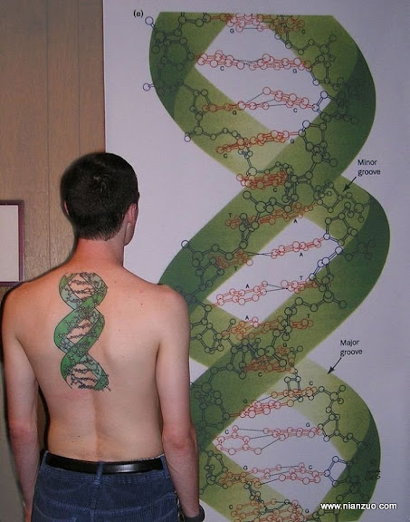 科学纹身 基因,基因