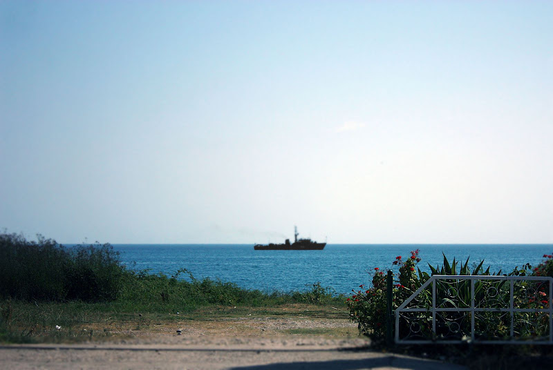 Абхазия за один день - Новый Афон и Сухум. Невероятная железная дорога.