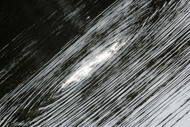 [ripples[4].jpg]