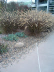 DSCF0037.jpg