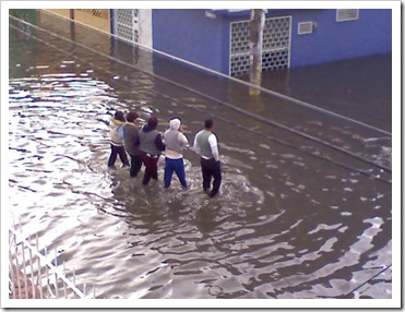 Caminan
