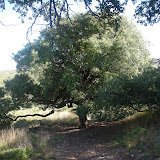 DSCN5897.JPG