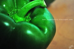 capsicum