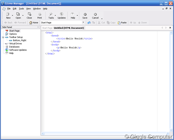 Gizmo Manager