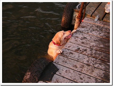Maggi trying to get up in on the dock