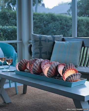 Seashell Lighting