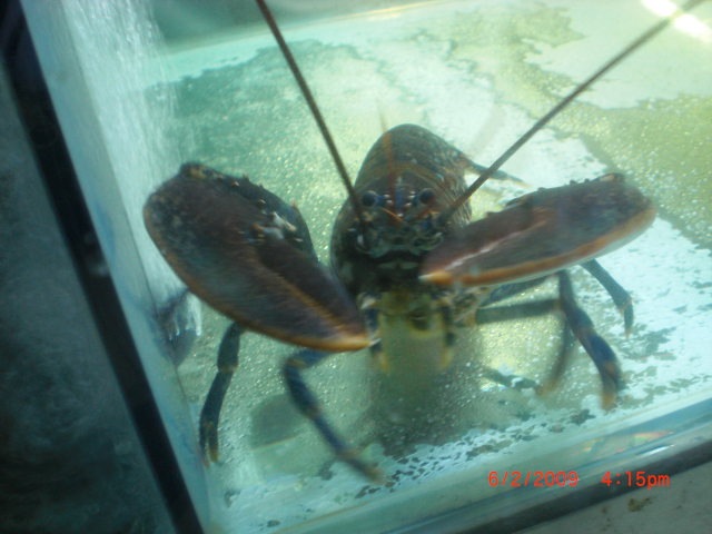 [CIMG02903.jpg]