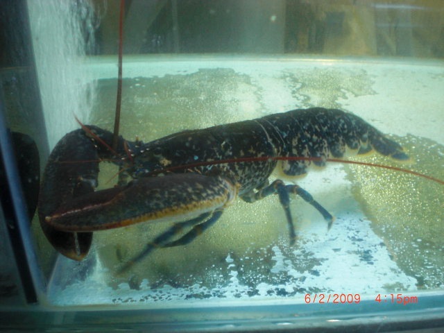 [CIMG02874.jpg]