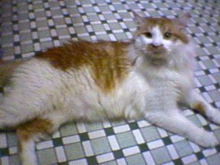 DSC00013.JPG