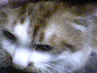 DSC00018.JPG