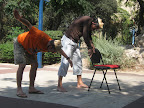 יום כיף לילדי טול כרם