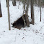 DSCF6084.JPG