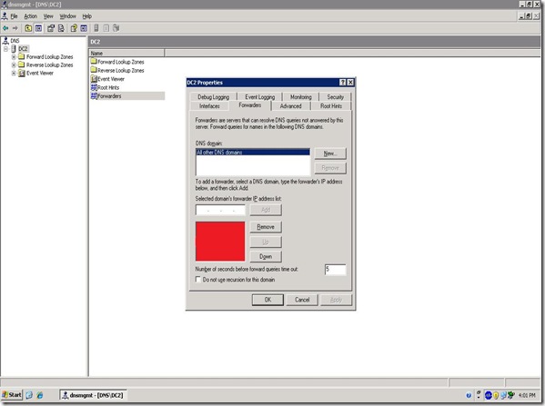 dns forwarder