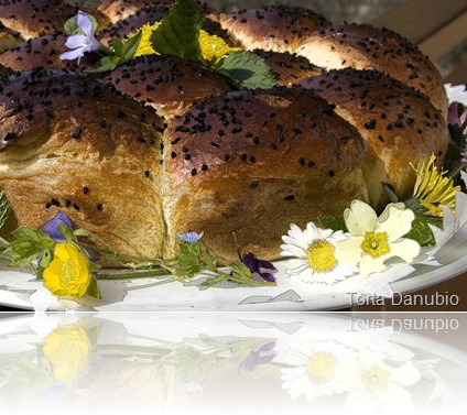 Torta Danubio 1