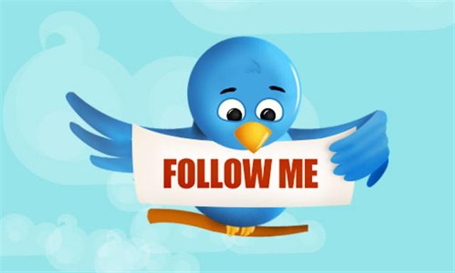 [twitter-bird-pic[5].jpg]
