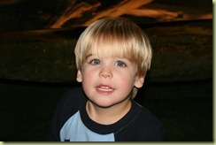 IMG_7182 IMG_7182
