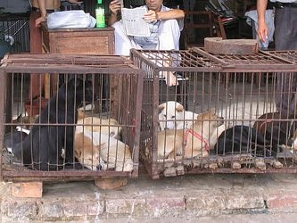 [tns_china2[2].jpg]